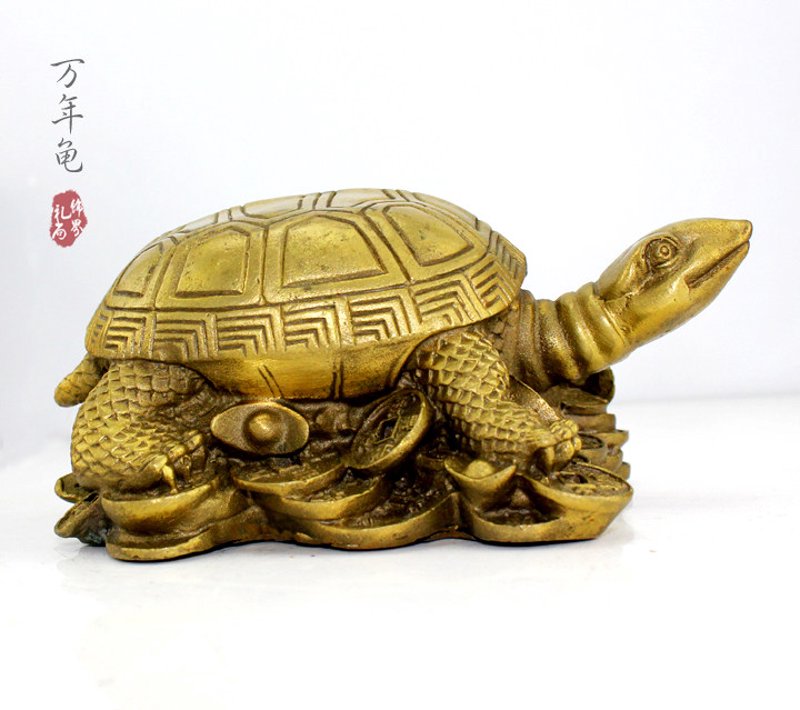 招财龟价格：如何在市场中找到性价比最高的那一款