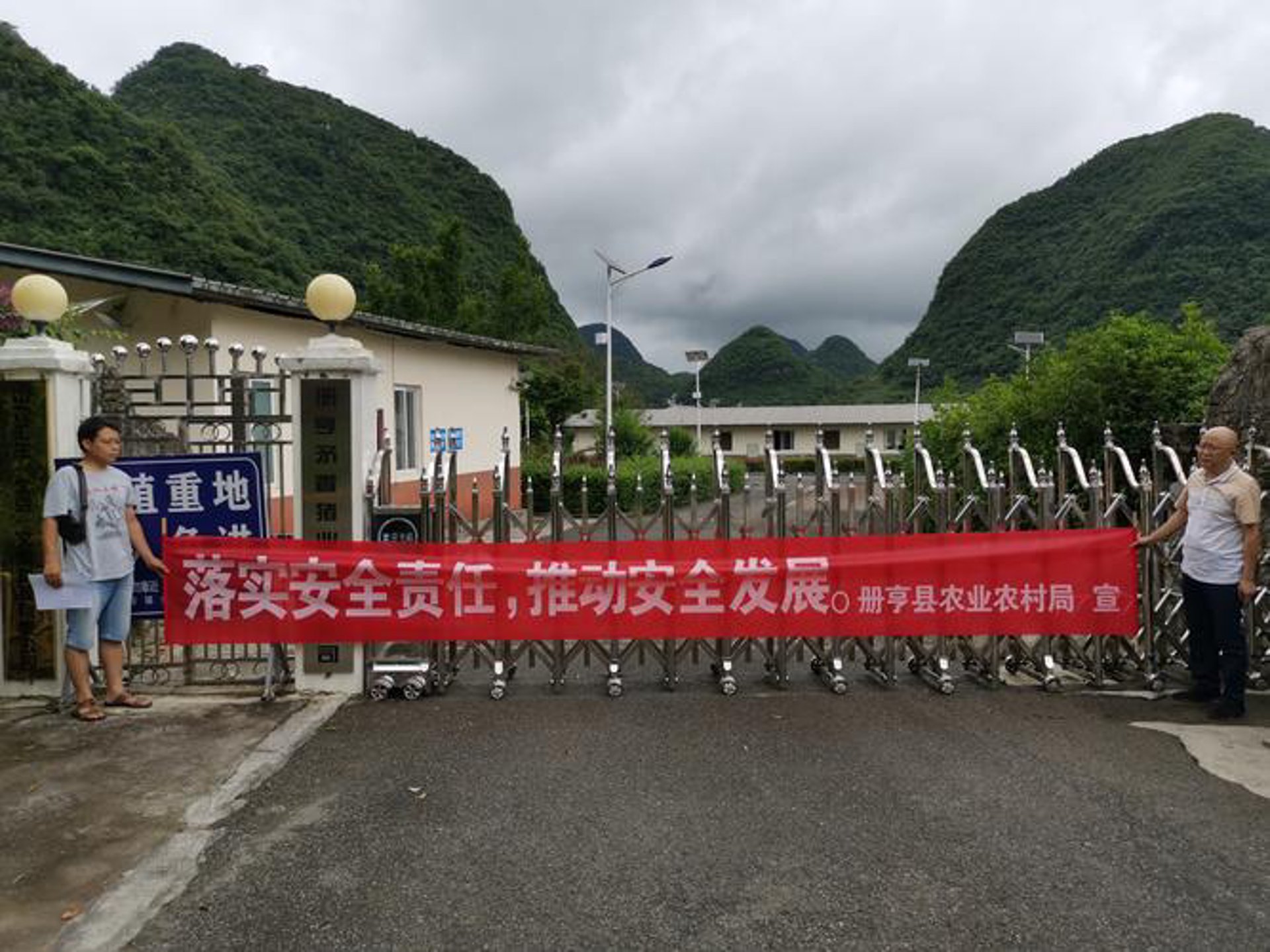 招财龟宠物
